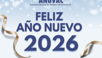 Feliz Año Nuevo 2026