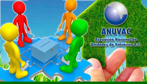 Comunicado Registro de Planillas para Consejo Directivo de ANUVAC 2024-2025